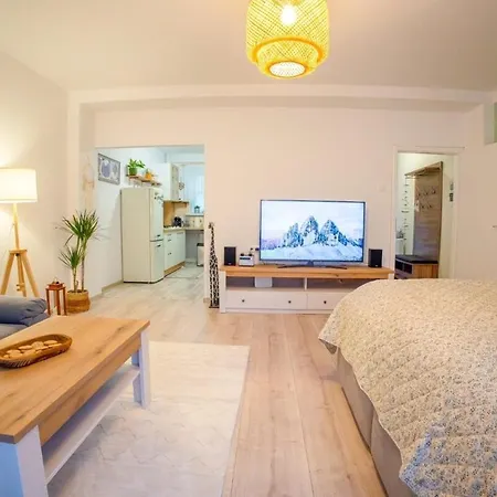 Cozy Little In Old Tw Apartment